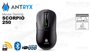 Antryx Gaming Scorpio 250 8K