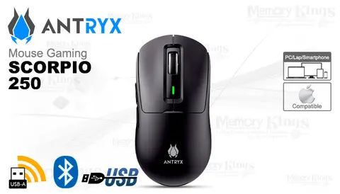 Antryx Gaming Scorpio 250 8K