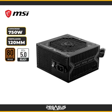 MSI MAG A750BN PCIE5 III 750W 80 PLUS BRONZE PCIE 5.1 (PN: 306-7ZPTX23-HD8)